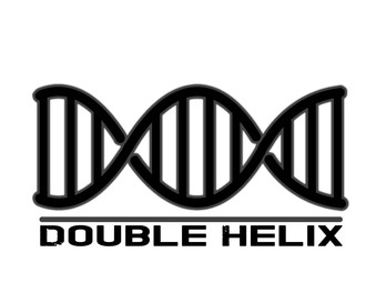 Double helix copy