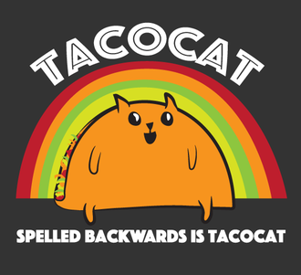 Tacocat art 1024x1024